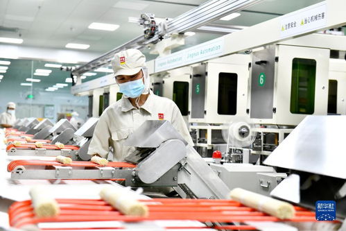山東濱州 多措并舉，以數字內容服務激活民營經濟高質量發展新引擎